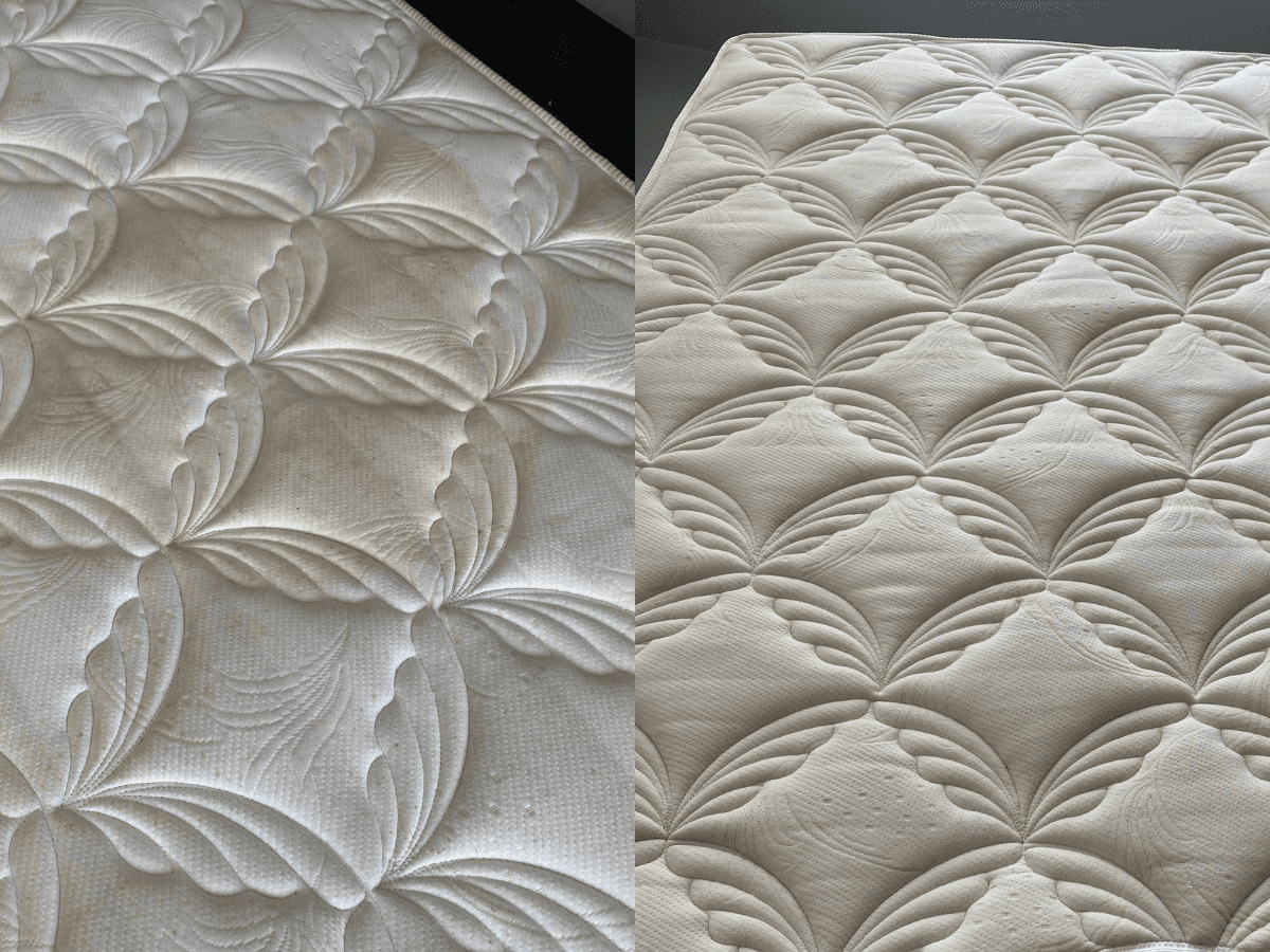 Sofa and Mattress Cleaning after