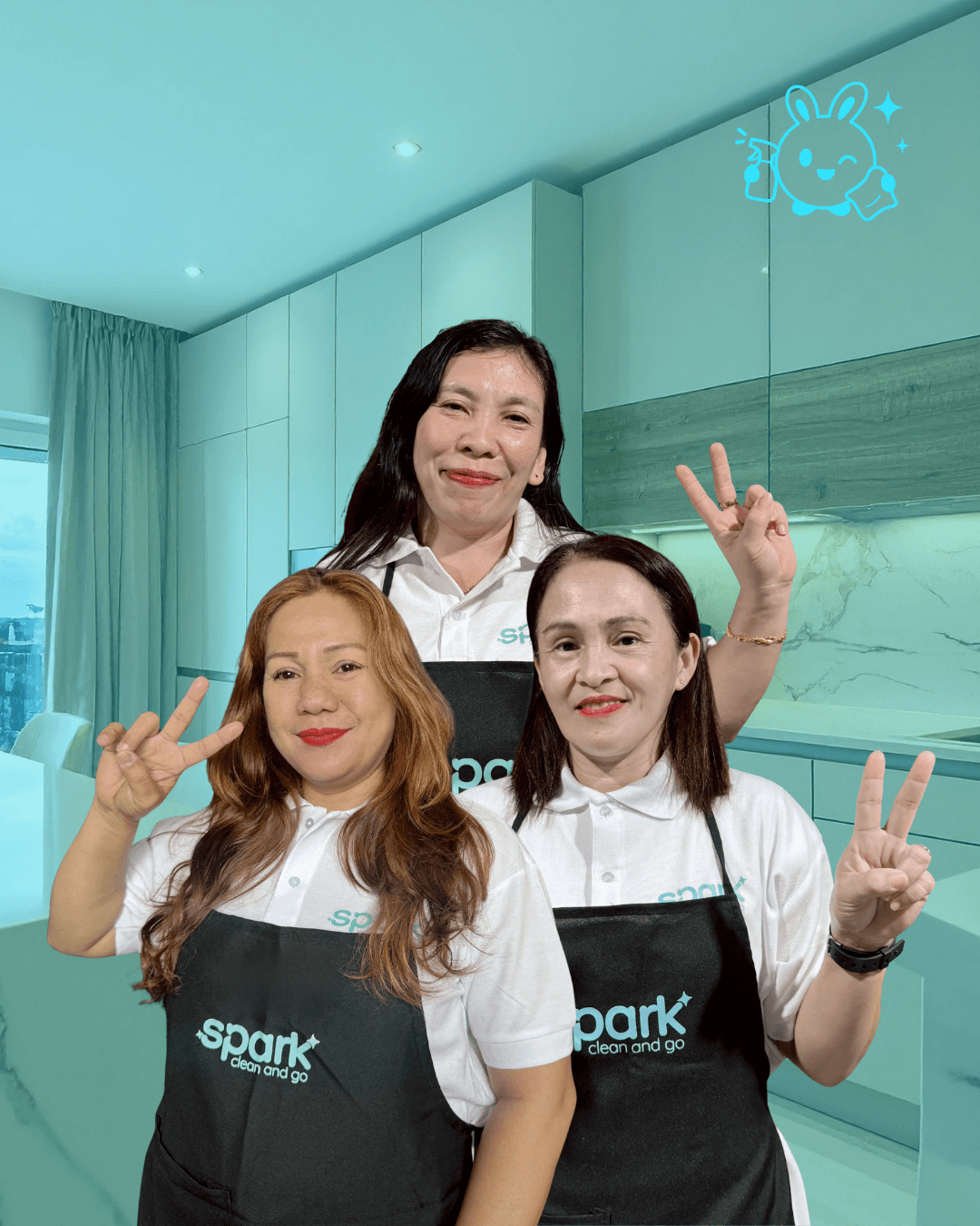 Spark Clean & Go professional cleaning